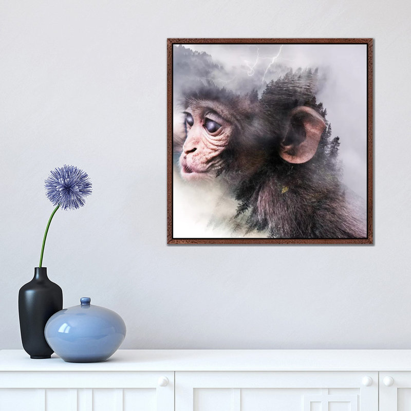 Monkey by Paul Haag - Print on Canvas, 45.72 cm H x 45.72 cm W, Classic Brown Wood Framed