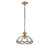 Hanging Glass Shade Ceiling Light Adjustable Height