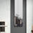 47 x 14IN Door mirror.(W2203P182244)-960414488