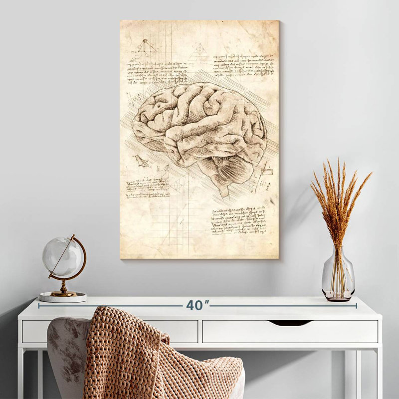 Keiri Human Brain, 30" H x 20" W
