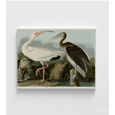 Two Birds Print, Framed Bird Wall Art, Bird Poster Print, Nature Wall Art, Ibis By John James Audubon Print, Framed Wall Art
