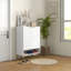 12 - Pair Shoe Storage Cabinet