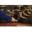 Tapis oriental abstrait 5 x 7