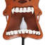 TIKI-TOHUA SOLAR STake