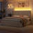 Upholstered LED Bed Frame with Storage Drawers and Wingback Headboard-66379558-66379555