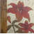 Toile sélectionné