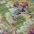 Premium Machine Washable Prisco Fern Rug-886614093