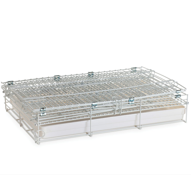Cage à oiseaux 
