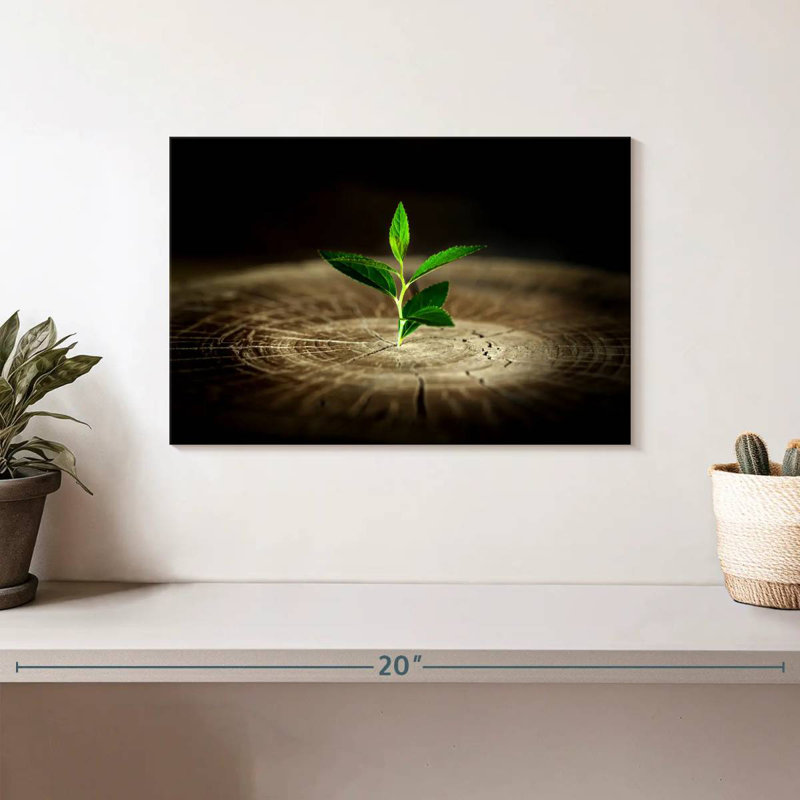 Harnek Plant On Stump, 8" H x 12" W