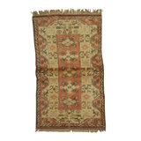 Wool Oriental Area Rug