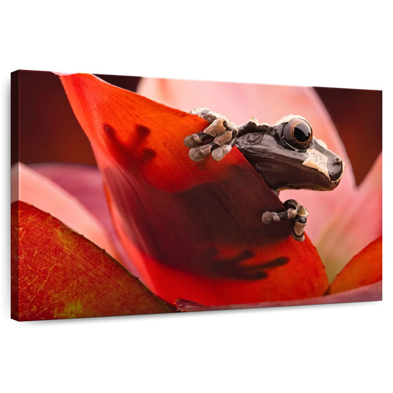 Brampt Amazon Tree Frog, 34" H x 51" W
