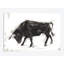 « toro i », reproduction sur toile tendue-28199293-72560350-72560355
