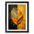 Black Framed
