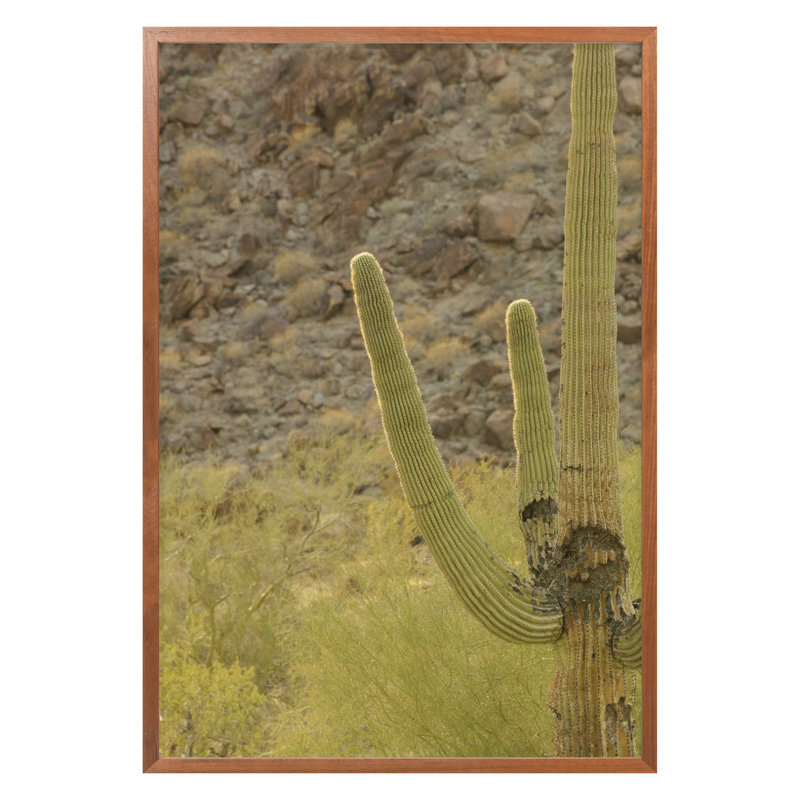 Buckeye, Arizona 3 Print by August Studios