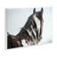 Plaque murale «Winter Herd Horse» par Amy Carroll-476266230