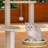 5 Tiers Cat Tree with Condons,Perch,Scratching Posts