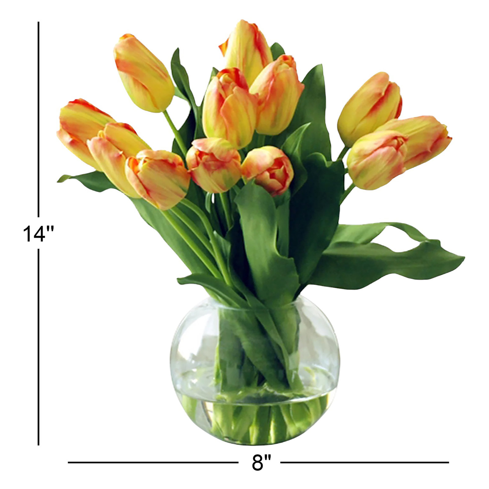 Tulip Arrangement in Vase