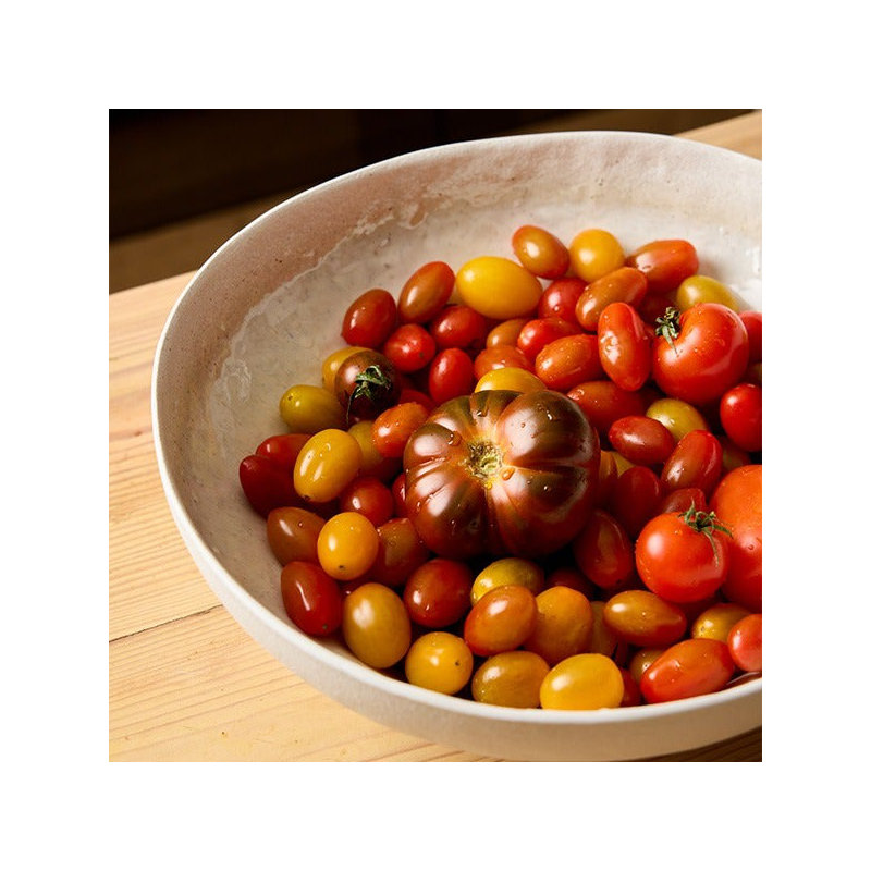 Stellar Stoneware Serving Bowl