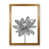 Oak Framed