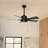 Lucian II 42'' Ceiling Fan