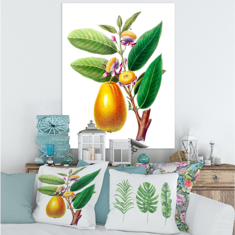 Rétro fruits I - reproduction sur toile tendue, H 32 po x l 24 po x P 1 po