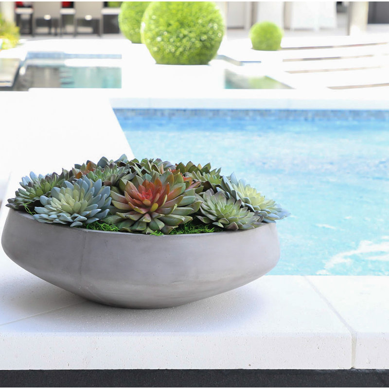 Plante succulent artificielle 2,00" en vase décoratif, H 7 po x l 3 po x P 13 po