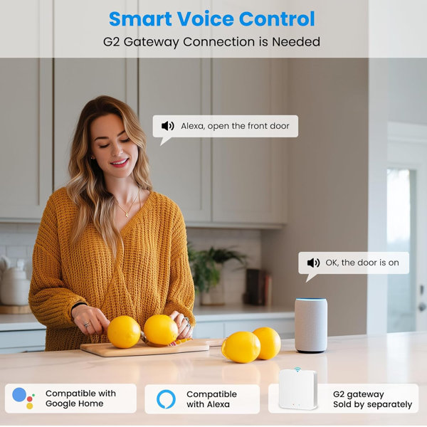 Serrure intelligente de porte - Avec empreinte digitale pêne dormant