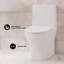 Toilette ronde une pièce avec chasse à gauche 10 po Sublime II de Swiss Madison, 1,28 pi³ / min-121372870-121372871-121372868
