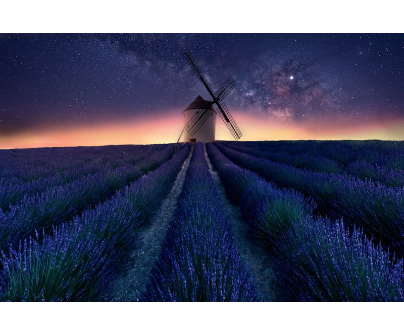 Wrapped Canvas Print, 50.8 cm H x 76.2 cm W