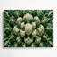Vegetables Cauliflower Romanesco Green Metal Wall Art-1487480679