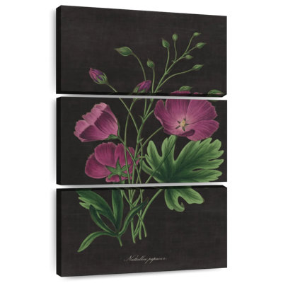 Botanique sur carte noire II