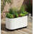White est en rupture de stock