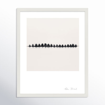 Seventeen Trees by Peter Dušek