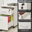 Brittani 40 cm W 2 -Drawer Filing Cabinet-85498926