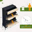 12 Pair Shoe Storage Cabinet