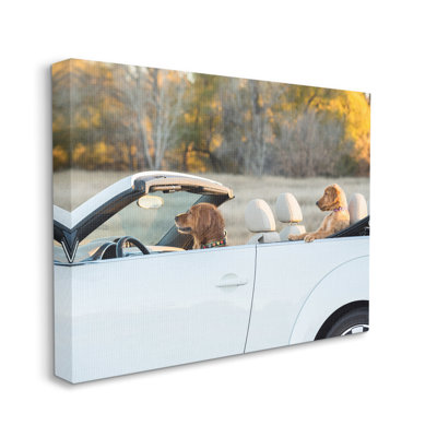 Chiens au volant convertible par Karen Hoglund