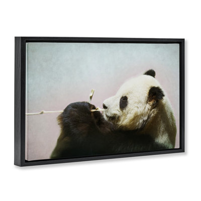 Wild Panda & Bamboo Floating Frame, design by Roberta Murray