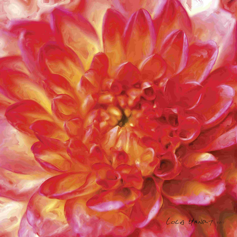 Painterly Flower II, H 36 po x l 36 po