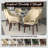 Kashley Mid-Century Modern Dining Chair, Fully Assembled Leather Armchair with Solid Rubberwood Legs, 330lb Capacity, Walnut Finish Flared Back Accent Chair for Dining Room & Home Office-519020762-519020763