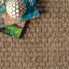 Tapis intérieur / extérieur bleu marine Berke-1168019953
