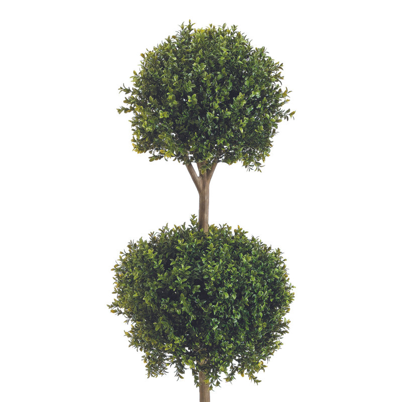 Boxwood Ball Topiary