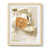 Naturel sélectionné