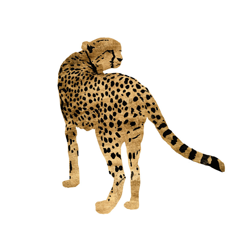 Golden Cheetah II by Annie Warren - Wrapped Canvas Painting, 30cm H x 30cm W