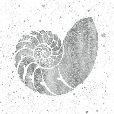Silver Sea Life Shell by Wild Apple Portfolio - Wrapped Canvas Painting