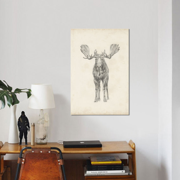 «Moose Study», reproduction sur toile, H 26 po x l 18 po x P 1,5 po, Pas de tapis, Toile tendue