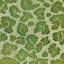 Leopard Square Velvet Pillow-222749424-222749426