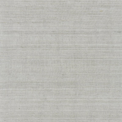 Tissu de luxe moderne Tussah