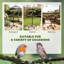 Wood Freestanding Feeding Station