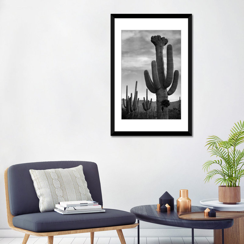 Saguaros, Saguaro National Monument par - impression, H 32 po x l 24 po x P 1 po, Papier d'art encadré noir, Blanc