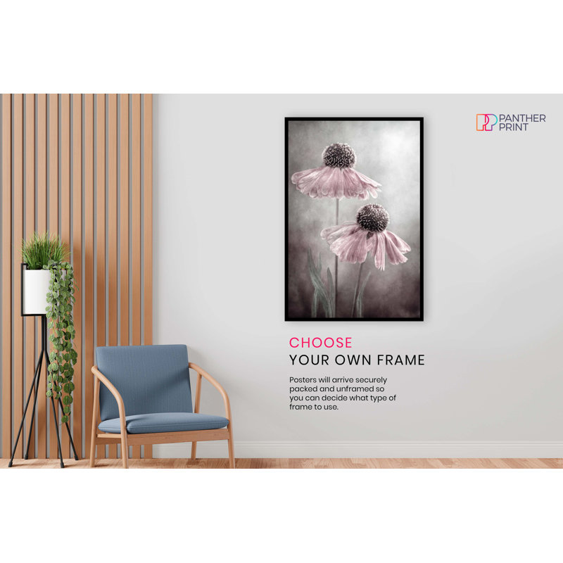 Pastel Pink Helenium Flower Painterly - No Frame Print, 31cm H x 20cm W